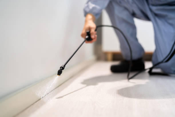 Licensed Termite Control service in Central City, PA - Nex Pest Control
