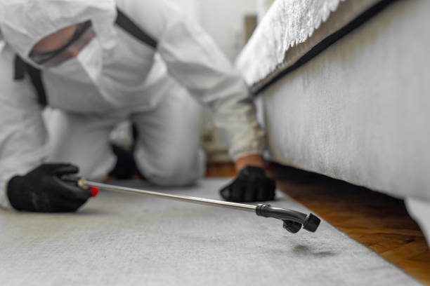Professional Termite Control technician working in Central City, PA