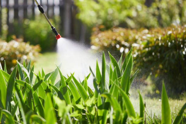 24/7 Emergency Termite Control experts in Central City, PA
