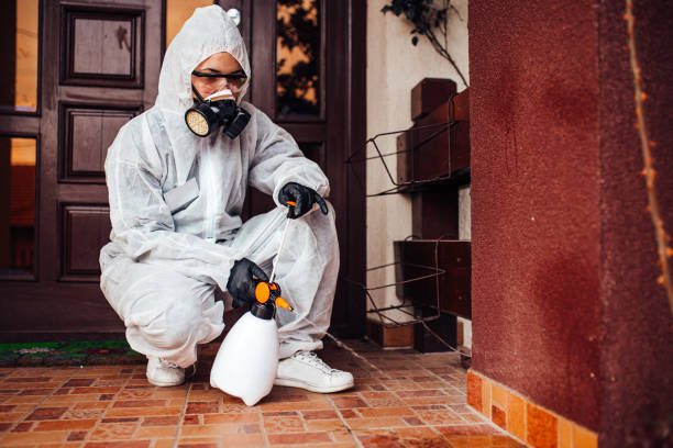 Reliable Termite Control contractor in Central City, PA by Nex Pest Control
