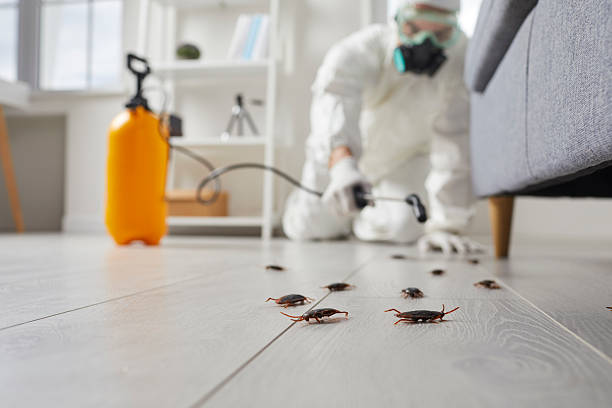 Trusted Cockroach Control service in Central City, PA - Nex Pest Control