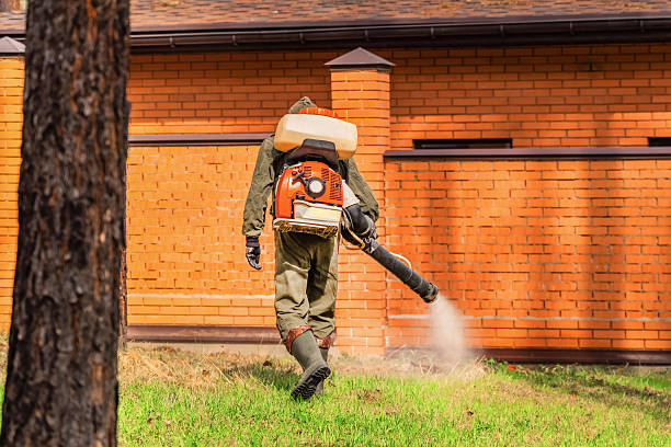 Trusted Ant Control service in Central City, PA - Nex Pest Control